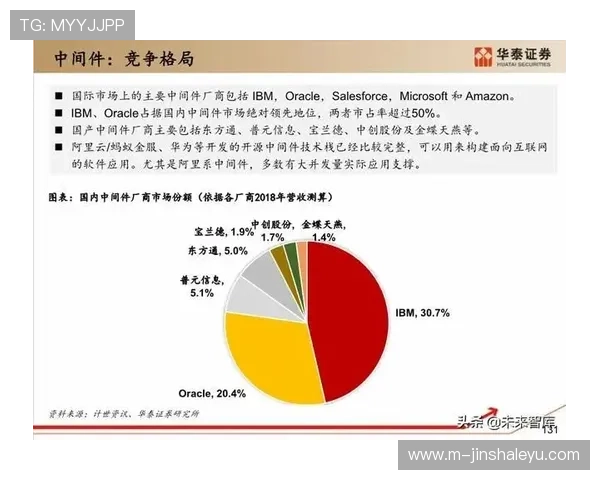 乌迪内斯战术解析与球队发展全景深度报告